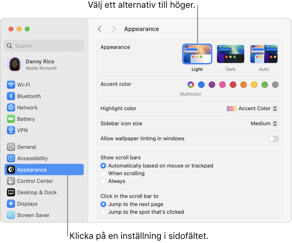 Fönstret Systeminställningar med inställningarna Utseende markerade i sidofältet och alternativen för Utseende till höger.