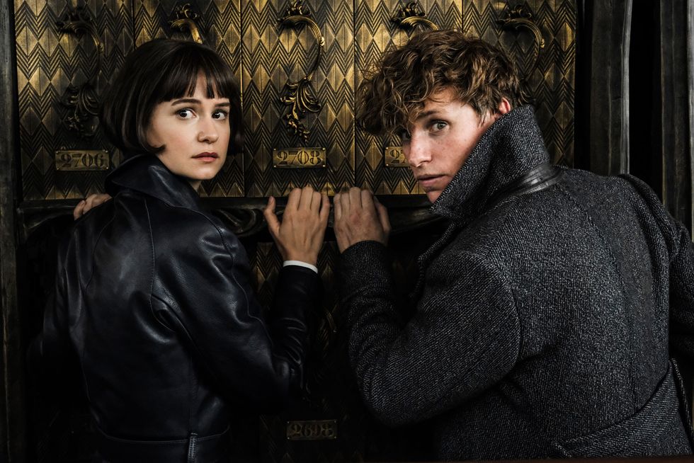 katherine waterston as tina, eddie redmayne as newt, fantastic beasts 2, fantastic beasts the crimes of grindelwald