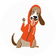 Hoodie Hoodie