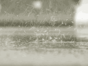 RAIN 2 RAIN 2