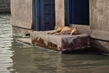 INDIA-10412_2