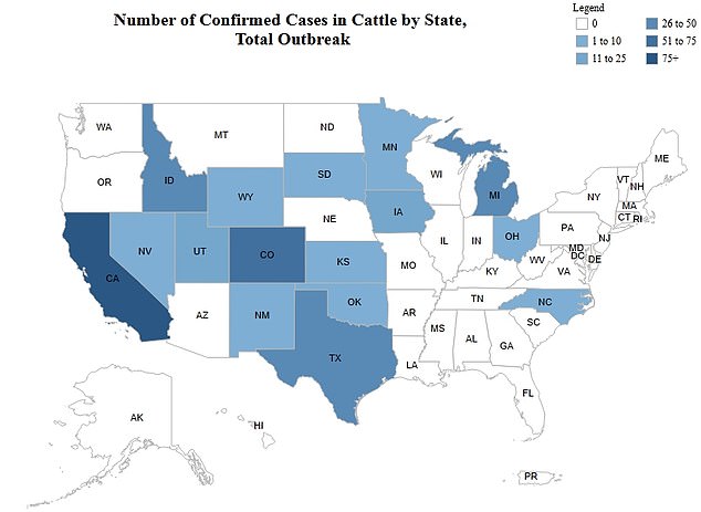 The above shows a map of cattle farms that have reported infections with H5N1