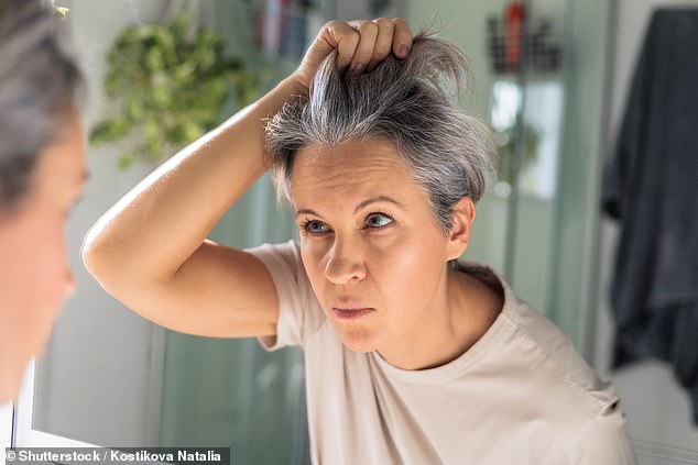 It's an issue that plagues many people from the age of around 30. But the days of having to reach for the dye to banish your grey hairs could finally be a thing of the past (stock image)