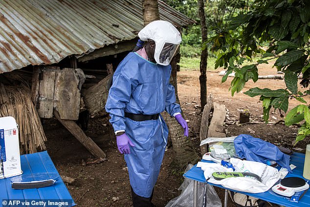 World Health Organization officials noted this week the 'extensive travel' of the infected person, who visited a number of medical facilities while symptomatic, was 'increasing the risk of widespread transmission', (Stock image)