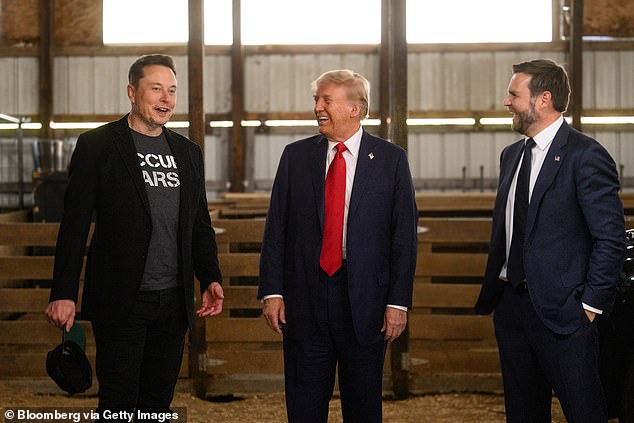 Musk has been a controversial figure since joining team Trump and being named the chairman of the Department of Government Efficiency, aka DOGE