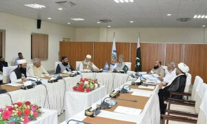 Council of Islamic Ideology comes out against SC verdict in polygamy case