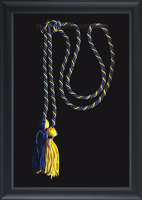 The New School diploma frame - Honor Cord Shadow Box Frame in Obsidian