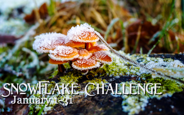 Snowflake Challenge promotional banner with image of snow-covered mushrooms and green moss. Text: Snowflake Challenge January 1-31.