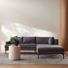 a living room with a couch, table and potted plant on the rug in front of it