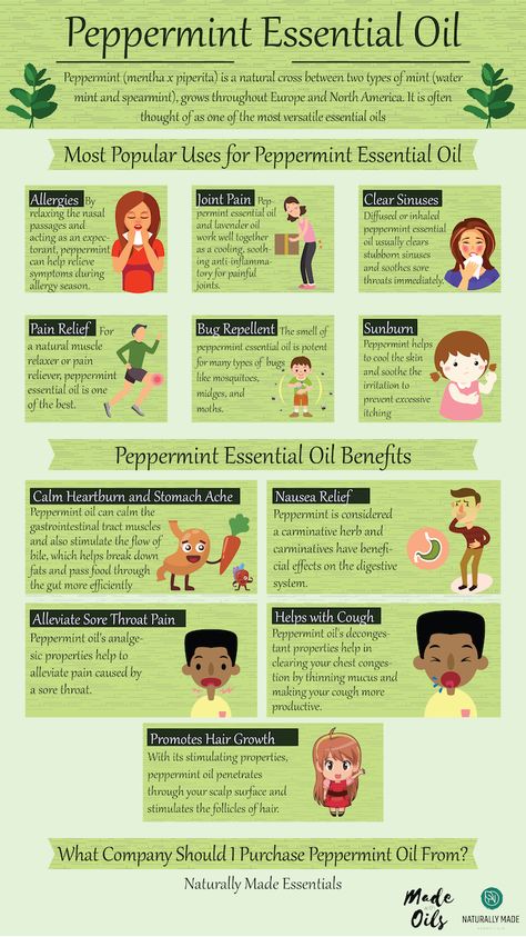 Benefits Of Peppermint, Essential Oils Allergies, How To Clear Sinuses, Mint Water, Lemon Benefits, Coconut Health Benefits, Benefits Of Coconut Oil, Essential Oil Benefits, Family Pets