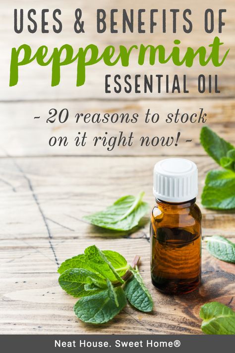 Peppermint oil is very versatile. Use it to deodorize your home, and treat common ailments. Here are 20 peppermint oil uses and its benefits. #peppermintoil #pepperminteo #homeremedies #neathousesweethome Pepermint Oil, Peppermint Essential Oil Benefits, Peppermint Essential Oil Uses, Peppermint Oil Uses, Peppermint Oil Benefits, Peppermint Tea Benefits, Motherhood Lifestyle, Natural Cold Remedies, Essential Oil Benefits