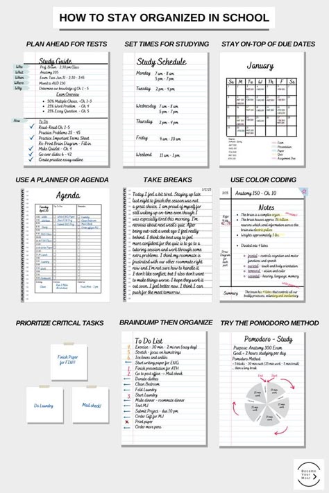 University Study Planner, Study Task Planner, How I Take Notes Study Tips, School Planning Aesthetic, How To Organize A Journal, How To Organise Your School Planner, How To Organize College Classes, Planner School Organization, How To Make Planner For Study