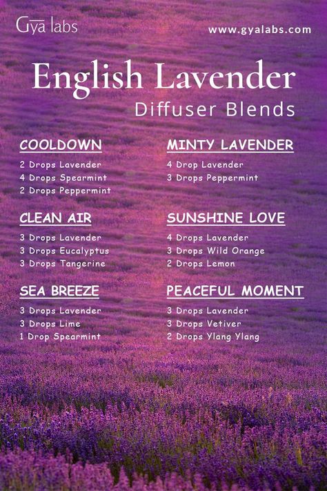 A bottle of English Lavender essential oil blend surrounded by blooming lavender flowers and a diffuser, with the text "English Lavender Essential Oil Blend for Relaxation and Serenity" written in an elegant and serene font. Lavender Diffuser Blends, Lavender Oil For Skin, Lavender Oil Benefits, Essential Oil For Hair, Lavender Diffuser, Essential Oil Perfume Blends, Diffuser Scents, Essential Oil Spray Recipes, Scent Blends