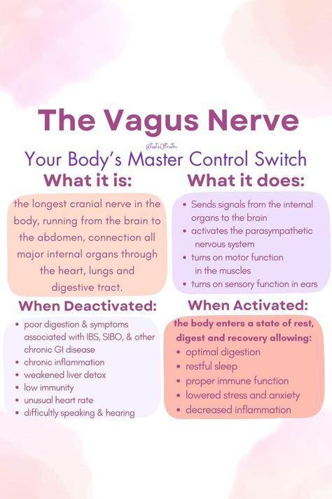 Tune in to hear about the nervous system, learn the importance of forgiveness, compassion and tips for activating the vagus nerve! #HealthTips #FitnessTips #SelfCare #NutritionTips #Wellness #HealthyLiving #FitLife #HealthyLifestyle Vagus Nerve Meditation, Vagus Nerve Reset, Healing Nervous System, Vagus Nerve Symptoms, Vagus Nerve Exercise, Stimulate Vagus Nerve, Vagus Nerve Healing, Vegas Nerve, Vagus Nerve Damage