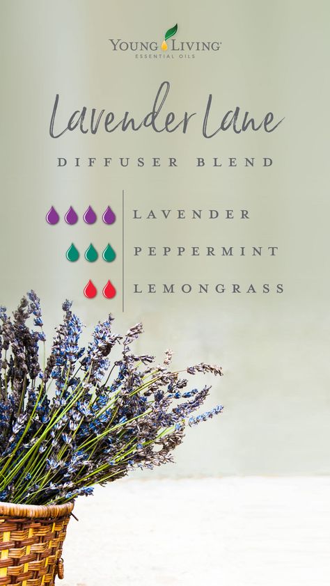 Diffuser Blends Young Living, Young Living Diffuser, Essential Oil Combinations, Doterra Essential Oils Recipes, Essential Oil Diffuser Blends Recipes, Magia Das Ervas, Young Living Essential Oils Recipes, Essential Oils Guide, Essential Oil Diffuser Recipes