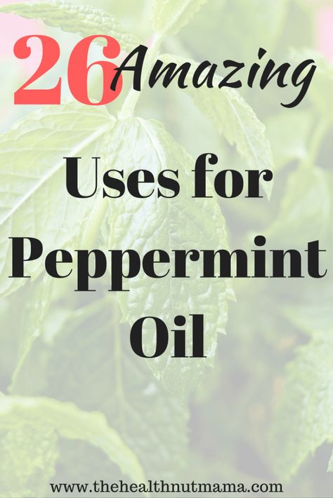 Benefits Of Peppermint Oil, Peppermint Oil Uses, Benefits Of Peppermint, Peppermint Oil Benefits, Get Rid Of Spiders, Mint Oil, How To Relieve Headaches, Essential Oil Benefits, Joints Pain Relief