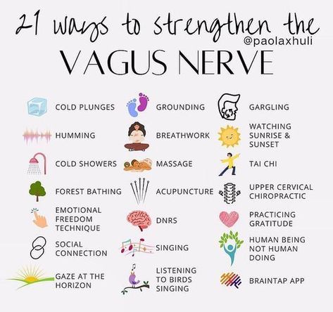 Vagal Tone, Felt Butterflies, Nervus Vagus, The Vagus Nerve, Relaxation Response, Feminine Health, Vagus Nerve, Vie Motivation, Hormone Health