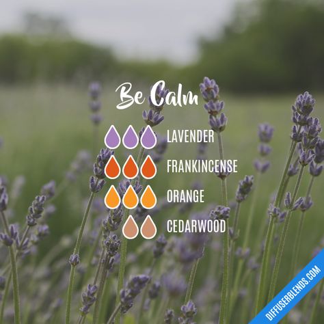 Cleaning Strategies, Diy Perfumes, Helichrysum Essential Oil, Calming Essential Oils, Essential Oil Diffuser Blends Recipes, Be Calm, Essential Oil Diffuser Recipes, Oil Diffuser Recipes, Essential Oil Blends Recipes