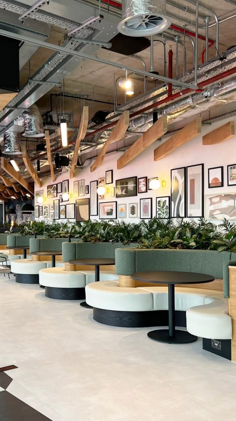 Beautiful planting within restaurant seating and floor standing Ficus and Kentias Restaurant Booth Seating Ideas, Booth Restaurant Design, Restaurant Feature Wall, Booth Seating Design, Booth Seating Restaurant, Built In Booth, Seating Booth, Biophilic Office, Banquette Seating Restaurant