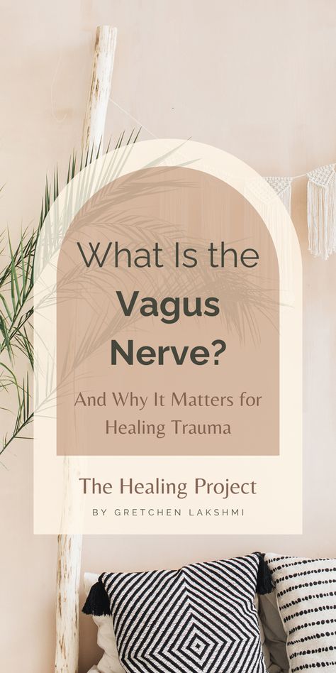 What Is the Vagus Nerve? And Why It Matters for Healing Trauma Vagus Nerve Damage Symptoms, Vagus Nerve Stimulating, Vagal Nerve Exercises, Vagus Nerve Healing, Vegas Nerve, Vagus Nerve Damage, Vagus Nerve Stimulator, Nerf Vague, Nervus Vagus