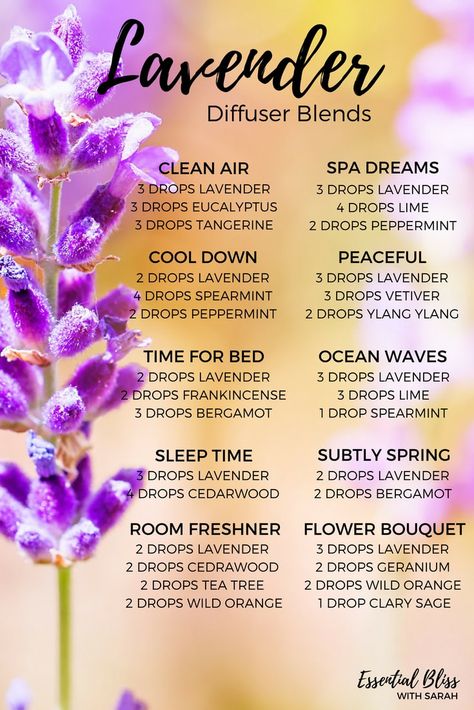 Diffuser Blend suggestions using Lavender Essential Oil Lavender Diffuser Blends, Lavender Diffuser, Lilin Aroma, Doterra Diffuser Blends, Essential Oil Combinations, Doterra Essential Oils Recipes, Essential Oil Diffuser Blends Recipes, Magia Das Ervas, Young Living Essential Oils Recipes