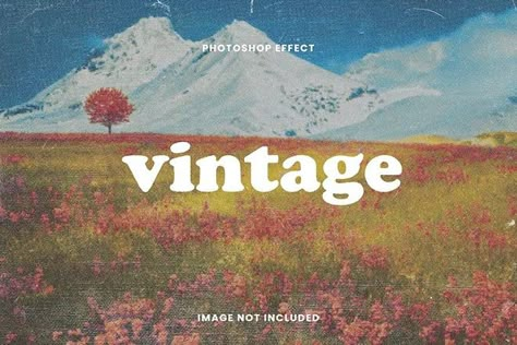 Vintage Photo Effect, Best Free Lightroom Presets, Film Texture, Vintage Photo Editing, Vintage Filters, Photoshop Filters, Photoshop Express, Don't Waste Your Time, Creative Photoshop