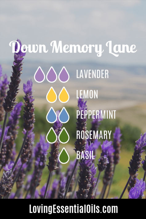 Memory Boosting Diffuser Blend with Lavender, Lemon, Peppermint, and Rosemary - Down Memory Lane Lavender Peppermint Diffuser Blend, Lavender Essential Oil Blends, Essential Oils For Memory, Peppermint Essential Oil Uses, Lavender Essential Oil Uses, Relaxing Essential Oil Blends, Peppermint Oil Benefits, Lavender Diffuser, Essential Oil Spray Recipes