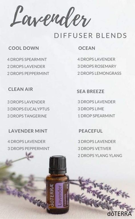 Lavender Essential Oil Uses, Lavender Oil Benefits, Lilin Aroma, Doterra Diffuser Blends, Essential Oil Combinations, Doterra Essential Oils Recipes, Essential Oil Diffuser Blends Recipes, Essential Oils Guide, Essential Oil Diffuser Recipes