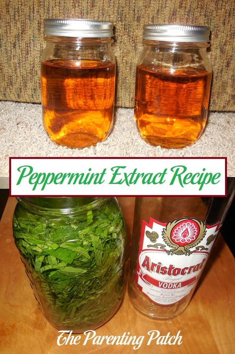 Peppermint Recipes Fresh, Dried Peppermint Leaves Uses, How To Make Peppermint Extract, Peppermint Leaves Uses, Peppermint Extract Recipes, Making Extracts, Herbalism Recipes, Extract Recipes, Homemade Extracts