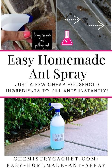 Any Spray Diy, Diy Any Killer Indoor, Homemade Bug Spray For Home, Ant Spray Diy Homemade Essential Oils, Diy Ant Spray Outdoor, Anti Ant Spray, Ant Spray Diy Homemade How To Get Rid, Natural Ant Killer For Home, Any Killer Diy