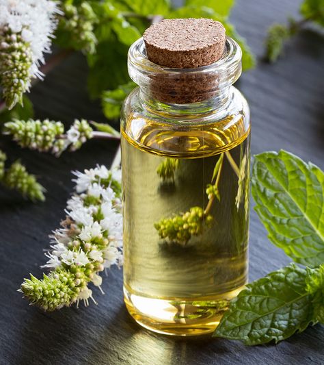 Peppermint Oil Benefits, Baking Soda Mask, Baking Soda For Acne, Baking Soda Face, Baking Soda Benefits, Dark Spots On Face, Natural Acne Remedies, Metaphysical Shop, Baking Soda Uses