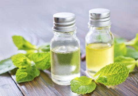 Homemade Essential Oils, Making Essential Oils, Mint Oil, Ginger Essential Oil, Diy Essentials, Vanilla Essential Oil, Peppermint Leaves, Infused Oils, Aromatic Herbs