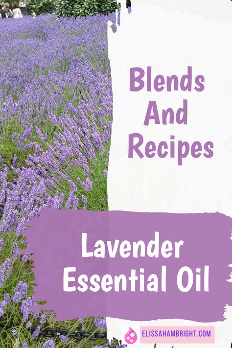 Immerse yourself in the magic of lavender essential oil with Elissa Hambright! Discover lavenders incredible uses, benefits for health and wellness, and unique recipes. Find out my best lavender essential oil blends and how to incorporate lavender in your skincare regime. An aromatic journey awaits! Click thru for my best lavender essential oil recipes. Lavender Rollerball Recipe, Lavender Essential Oil Recipes, Fresh Lavender Uses, Lavender Essential Oil Blends, Lemon Essential Oil Recipes, Lavender Oil Recipes, Benefits Of Lavender Essential Oil, Lavender Essential Oil Benefits, Essential Oil Mixtures