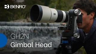 Benro GH2N Gimbal