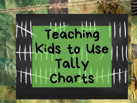 Teaching Kids to Use Tally Charts