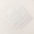 Vellum Basics 12" X 12" (30.5 X 30.5 Cm) Specialty Designer Series Paper Vellum Basics 12" X 12" (30.5 X 30.5 Cm) Specialty Designer Series Paper
