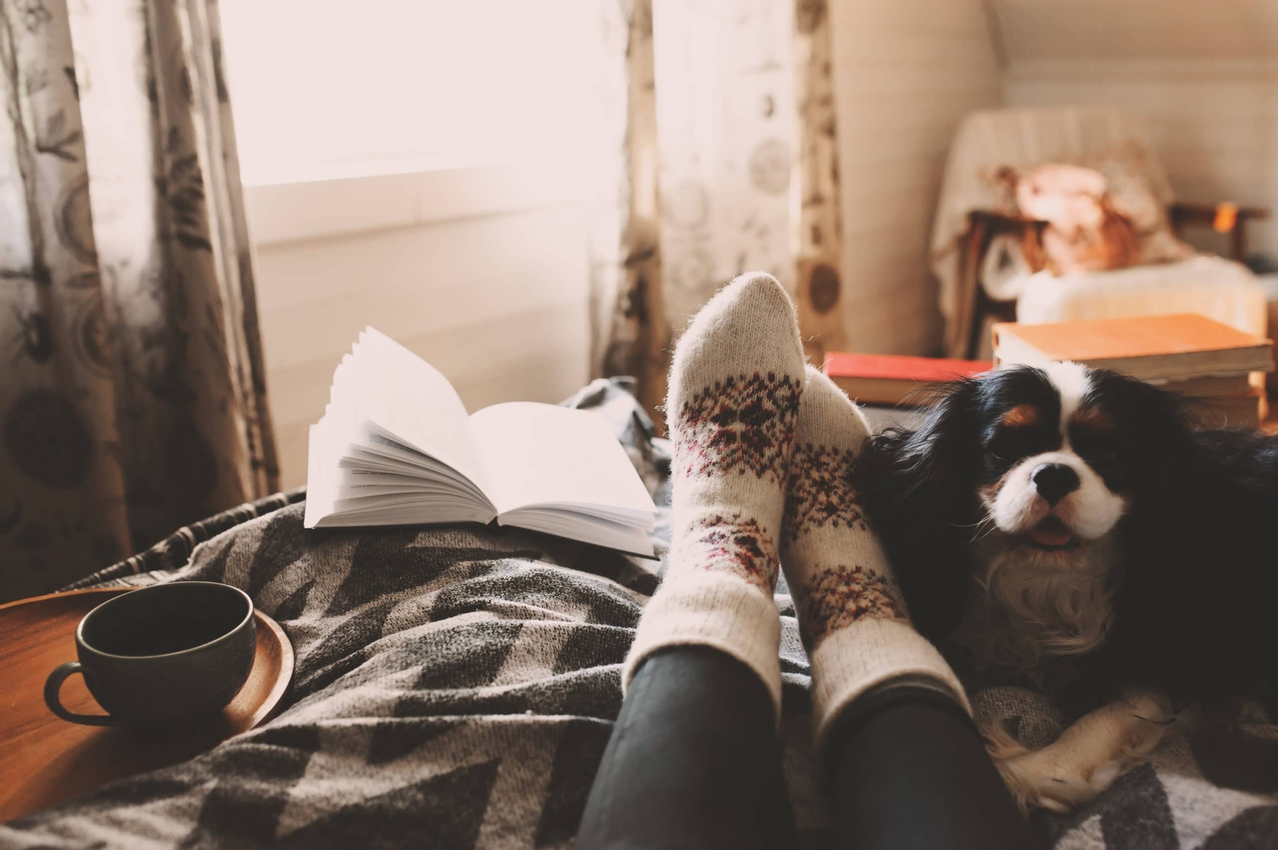 cozy winter with CBD products