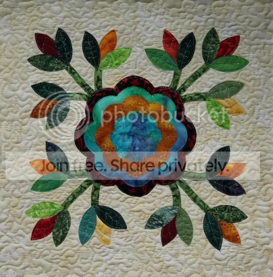 photo IMG_2229_zps9c24bd87.jpg