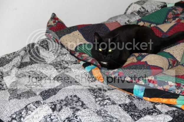 photo IMG_2911_zps04d85c1c.jpg
