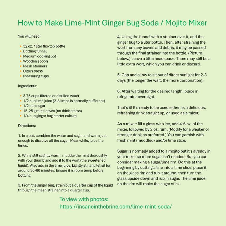 How to Make Lime-Mint Ginger Bug Soda Mojito Mixer