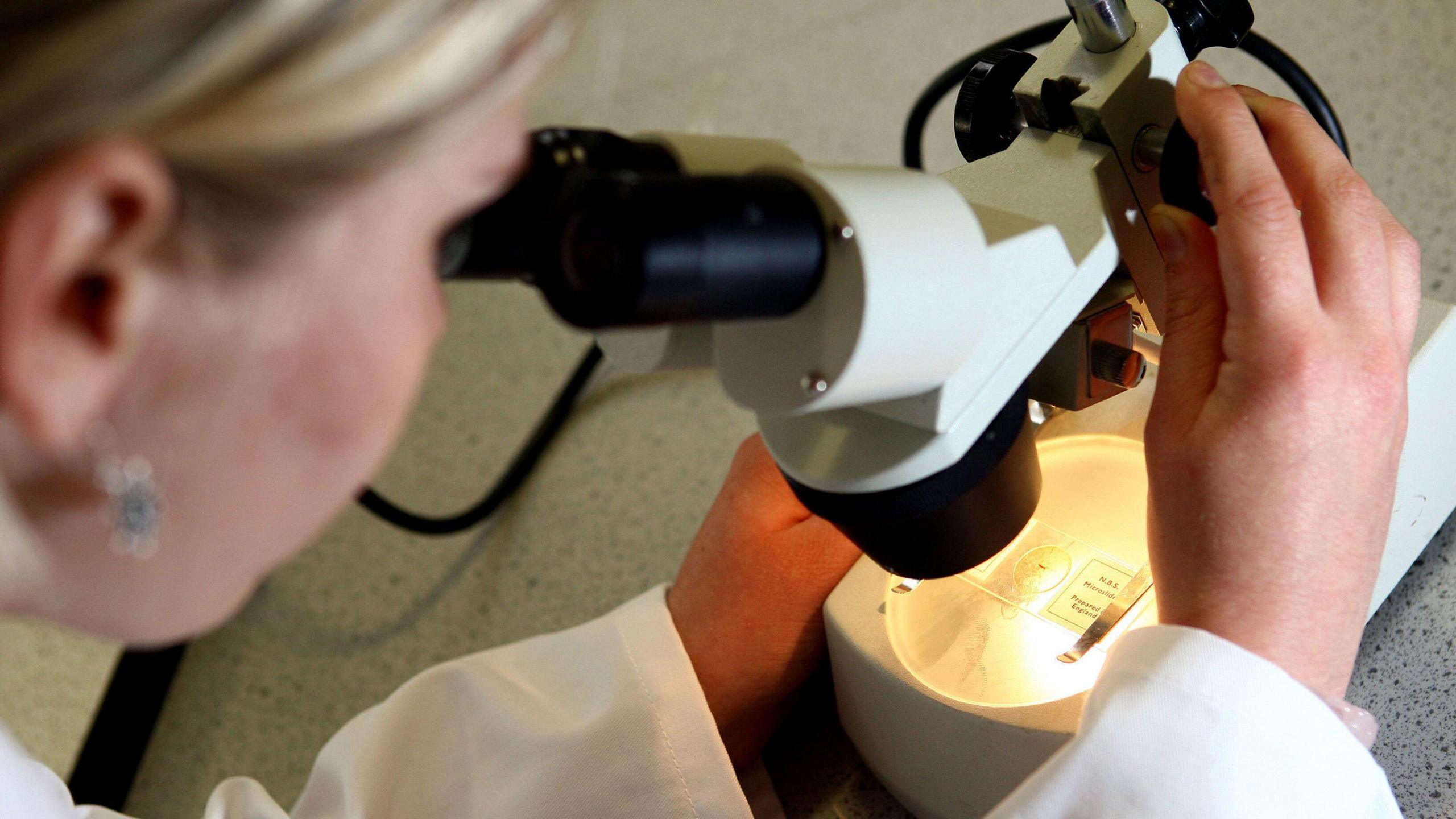 A female scientist looks into a microscope in a lab while turning the knob on the device to zoom in