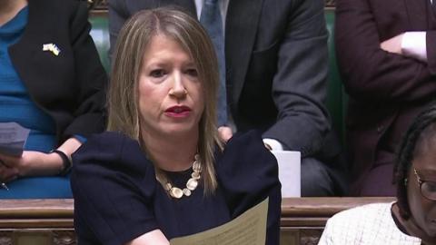 Labour MP Marie Tidball, screenshot taken from House of Commons stream