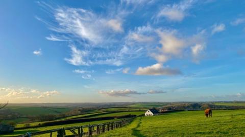 Bright blue sky with wispy white clouds over fields with a horse and house