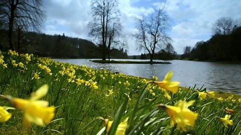 Britain in Springtime