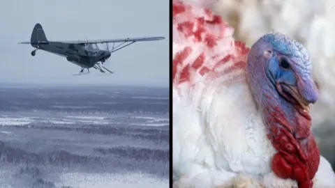 A plane can be seen flying over a snowy landscape in the picture on the left; on the right there is a photo of a turkey