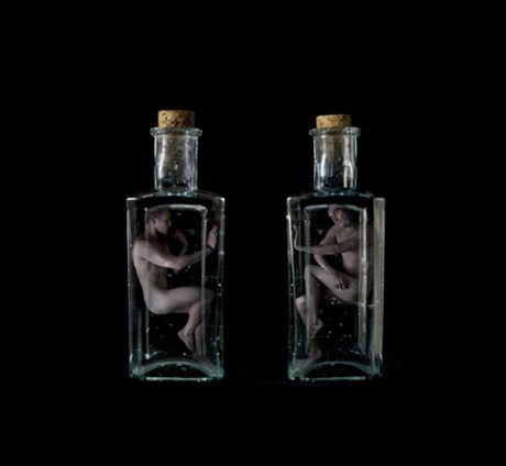 specimen by David Lim (8)