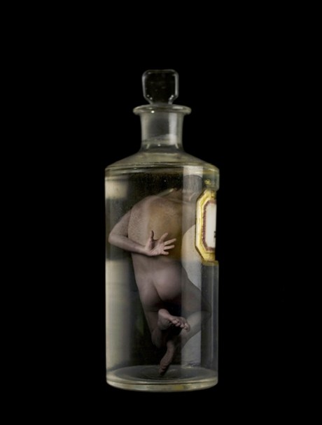 specimen by David Lim