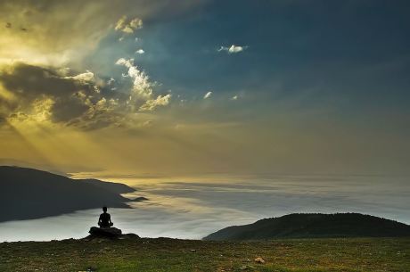 © Arash Karimi