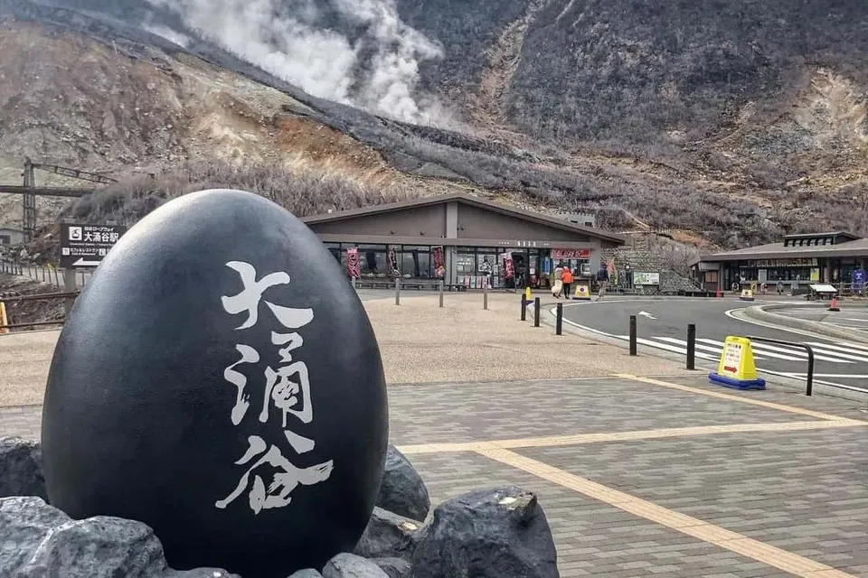 【開心FUN東京】迪士尼樂園、橫濱空中纜車、箱根鐵道旅行、星野東京灣五日-7