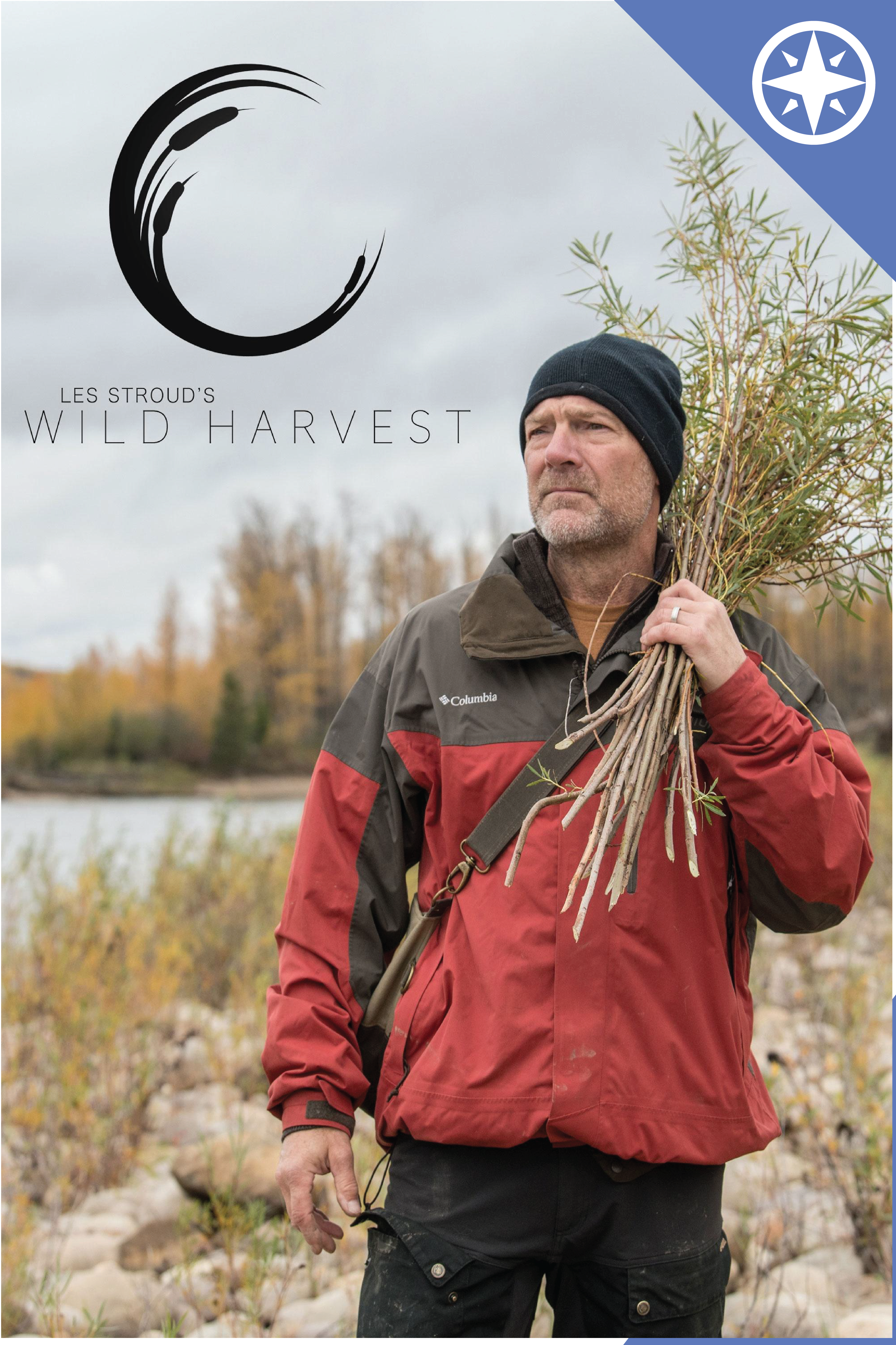 Grid image